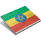 Ethiopia Flag Distressed Surface Book Skin